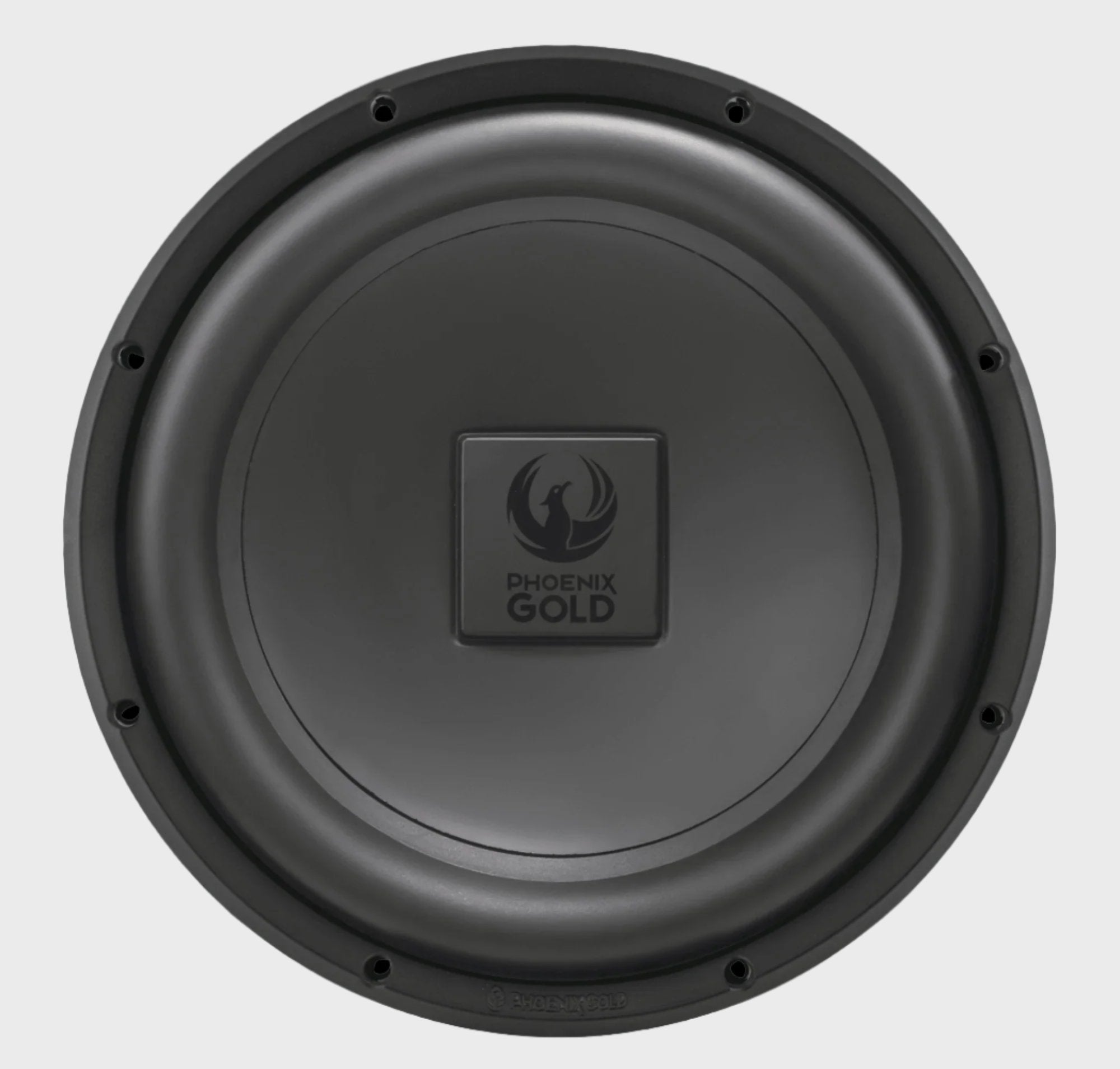 RX2 12" 200 Watt 4 Ohm Subwoofer