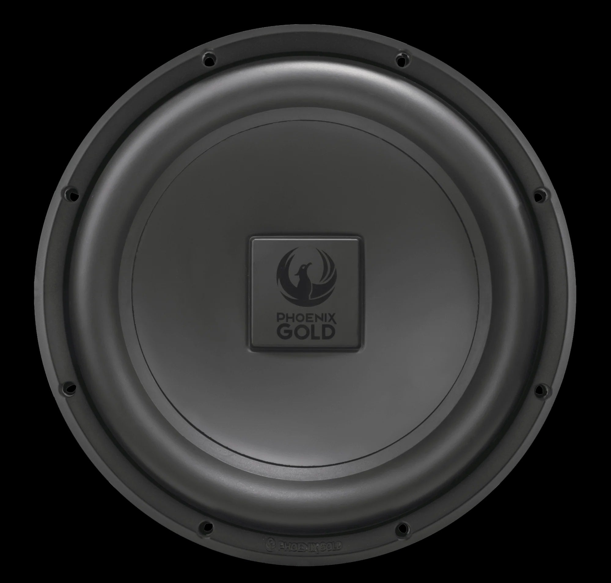 RX2 12" 200 Watt 4 Ohm Subwoofer